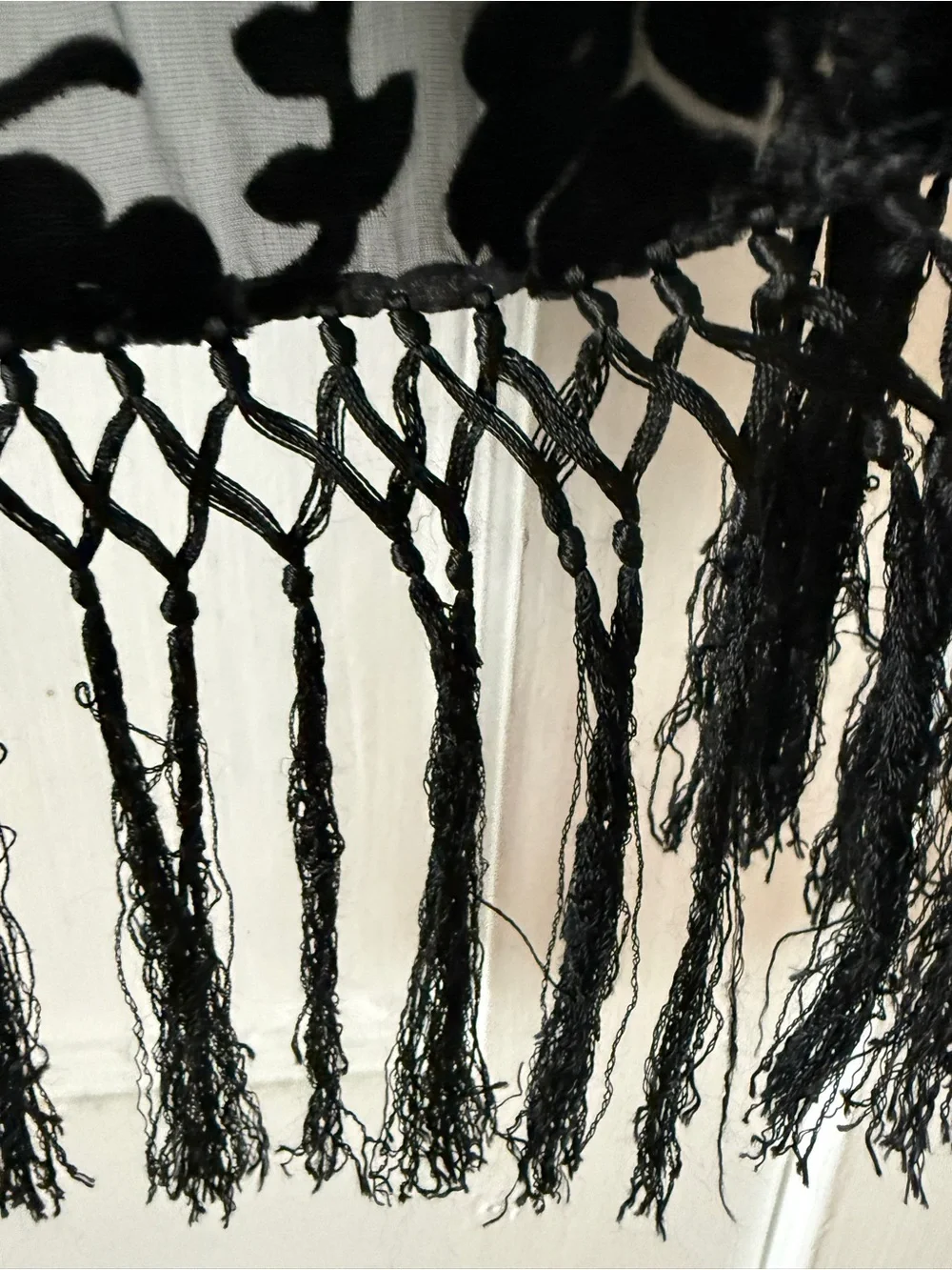 Echo Black Sheer Velvet Burnout Scarf with Fringe